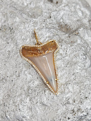 Fossilized Shark Tooth Diamond 18K Gold Pendant
