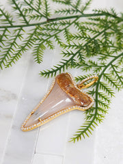Fossilized Shark Tooth Diamond 18K Gold Pendant