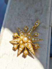 18k Solid Gold Pearl Studded 6 Point Star Pendant Brooch  | Indulgems