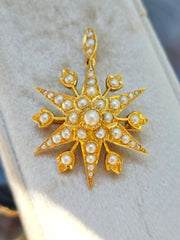18k Solid Gold Pearl Studded 6 Point Star Pendant Brooch  | Indulgems