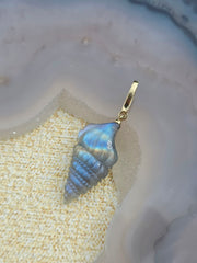 14k Solid Gold Handcarved Labradorite Seashell Pendant | Indulgems