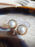 14k Yellow Gold South Sea Pearl Aurora Halo Earrings | Indulgems