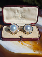 14k Yellow Gold South Sea Pearl Aurora Halo Earrings | Indulgems