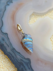 14k Solid Gold Handcarved Labradorite Seashell Pendant | Indulgems
